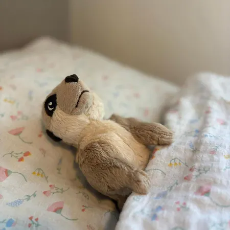 Апартаменты Super And Cozy In *