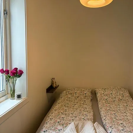 Super And Cozy In Апартаменты Берген